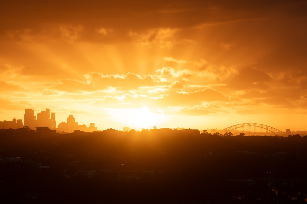 Close crop of the Sydney skyline in warm sunset light